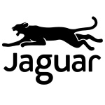 Wydawnictwo Jaguar logo
