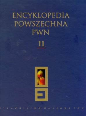Opakowanie Encyklopedia Powszechna PWN t.11
