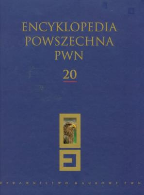 Opakowanie Encyklopedia Powszechna PWN t.20