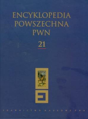 Opakowanie Encyklopedia Powszechna PWN t.21