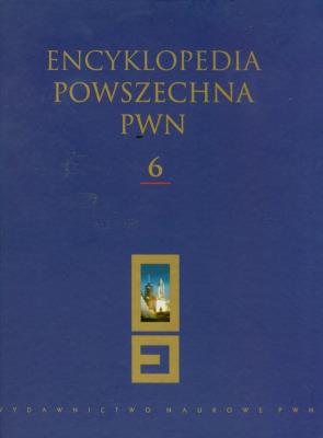 Opakowanie Encyklopedia Powszechna PWN t.6