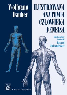 Ilustrowana anatomia człowieka Feneisa  PZWL. Autor: Dauber Wolfgang. SmakLiter.pl Okładka książki Ilustrowana anatomia człowieka Feneisa  PZWL