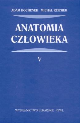 Anatomia człowieka. Autor: Bochenek Adam, Reicher Michał. SmakLiter.pl Okładka książki Anatomia człowieka