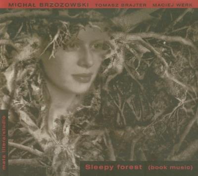 Okładka książki Sleepy forest