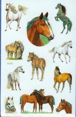 Okładka książki Naklejki na błyszczącym papierze konie