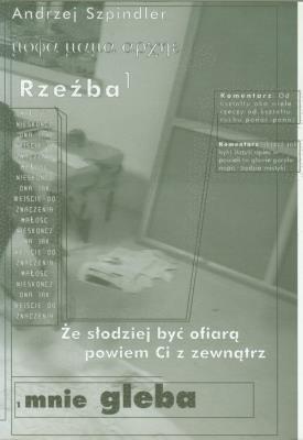 Rzeźba. Autor: Szpindler Andrzej. SmakLiter.pl Okładka książki Rzeźba