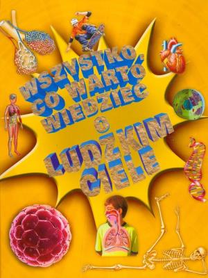 Wszystko co warto wiedzieć o ludzkim ciele. Autor: Patricia Macnair. SmakLiter.pl Okładka książki Wszystko co warto wiedzieć o ludzkim ciele