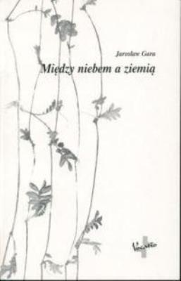 Okładka książki Między niebiem a ziemią