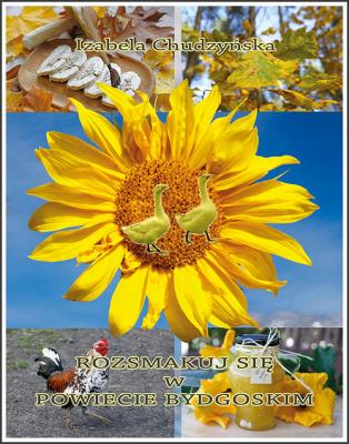 Okładka książki Rozsmakuj się w powiecie bydgoskim