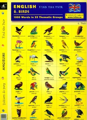 Angielski Dobierz do pary 6 Birds. Autor:   Praca zbiorowa. SmakLiter.pl Okładka książki Angielski Dobierz do pary 6 Birds