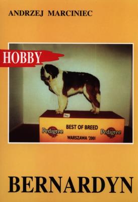 Bernardyn. Autor: Andrzej Marciniec. SmakLiter.pl Okładka książki Bernardyn