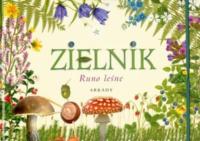 Zielnik. Runo leśne. Autor: Garbarczyk Henryk. SmakLiter.pl Okładka książki Zielnik. Runo leśne
