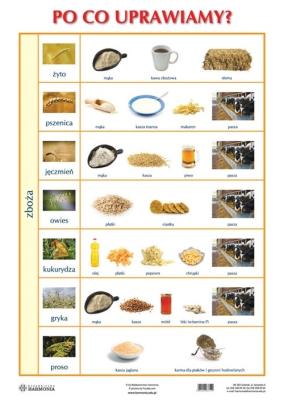 Okładka książki Plansza - Po co uprawiamy?
