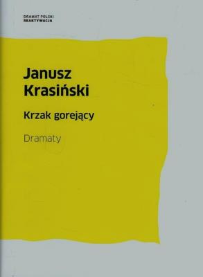 Okładka książki Krzak gorejący Dramaty