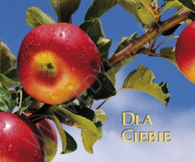 Perełka 120 - Dla Ciebie. Autor: PERELKA 120. SmakLiter.pl Okładka książki Perełka 120 - Dla Ciebie