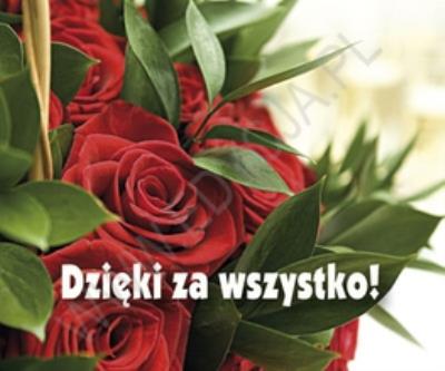 Perełka 191 - Dzięki za wszystko!. Autor: PERELKA 191. SmakLiter.pl Okładka książki Perełka 191 - Dzięki za wszystko!