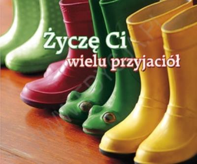 Okładka książki Perełka 213 - Życzę Ci wielu przyjaciół.