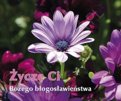 Okładka książki Perełka 215 - Życzę Ci Bożego błogosławieństwa.
