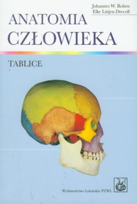 Anatomia człowieka Tablice. Autor: Rohen Johannes W., Lutjen-Drecoll Elke. SmakLiter.pl Okładka książki Anatomia człowieka Tablice