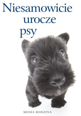 Niesamowicie urocze psy. Autor: Opracowanie zbiorowe. SmakLiter.pl Okładka książki Niesamowicie urocze psy