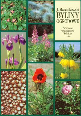 Byliny ogrodowe. Autor: Marcinkowski Jacek. SmakLiter.pl Okładka książki Byliny ogrodowe