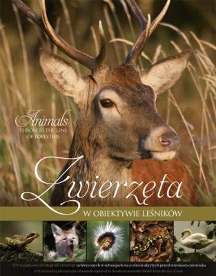 Zwierzęta w obiektywie leśników. Autor: Opracowanie zbiorowe. SmakLiter.pl Okładka książki Zwierzęta w obiektywie leśników