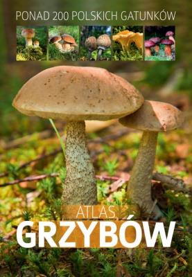Atlas grzybów. Autor: Patrycja Zarawska. SmakLiter.pl Okładka książki Atlas grzybów