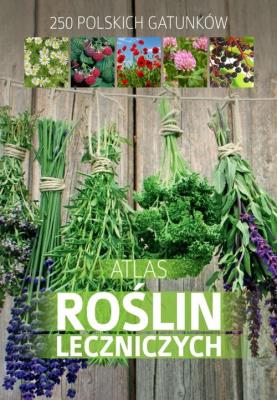 Atlas roślin leczniczych. Autor: Mederska Małgorzata. SmakLiter.pl Okładka książki Atlas roślin leczniczych