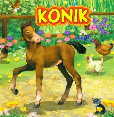 Konik JAFI. Autor: Katarzyna Campbell. SmakLiter.pl Okładka książki Konik JAFI