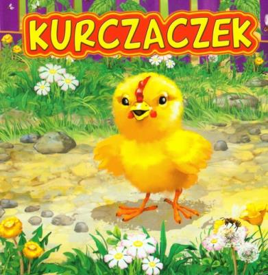 Kurczaczek. Autor: Katarzyna Campbell. SmakLiter.pl Okładka książki Kurczaczek