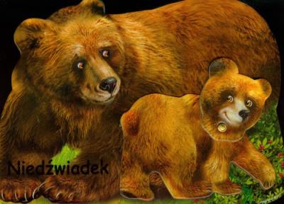 Niedźwiadek. Autor: Wejner Rafał. SmakLiter.pl Okładka książki Niedźwiadek