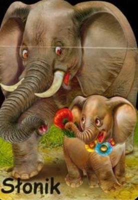 Okładka książki Słonik LIWONA