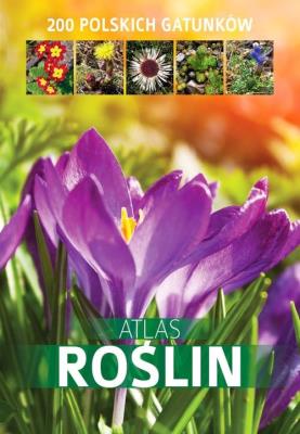 Atlas roślin. 200 polskich gatunków. Autor: Halarewicz Aleksandra. SmakLiter.pl Okładka książki Atlas roślin. 200 polskich gatunków