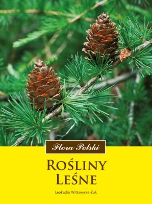 Flora Polski. Rośliny leśne. Autor: Witkowska-Żuk Leokadia. SmakLiter.pl Okładka książki Flora Polski. Rośliny leśne