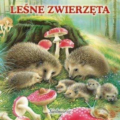 Okładka książki Leśne zwierzęta