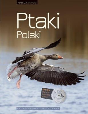 Okładka książki Ptaki Polski. Encyklopedia ilustrowana