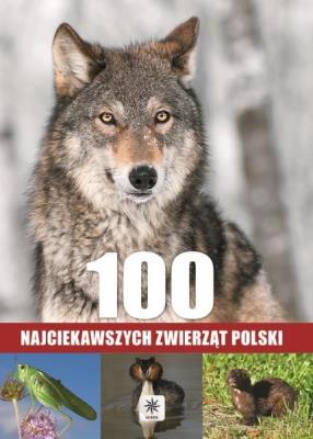 Unica. 100 najciekawszych zwierząt Polski. Autor: Przybyłowicz Łukasz, Anna Przubyłowicz. SmakLiter.pl Okładka książki Unica. 100 najciekawszych zwierząt Polski