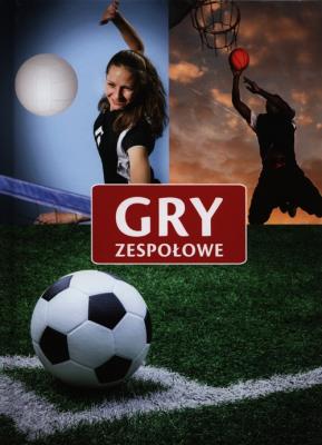 Gry zespołowe Damidos. Autor: Opracowanie zbiorowe. SmakLiter.pl Okładka książki Gry zespołowe Damidos