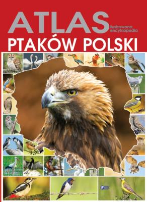 Atlas ptaków Polski TW. Autor: Opracowanie zbiorowe. SmakLiter.pl Okładka książki Atlas ptaków Polski TW