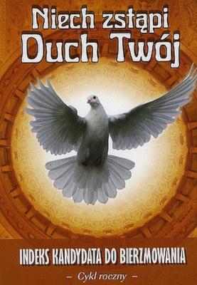 Niech zstąpi Duch Twój cykl roczny. Autor:   Praca zbiorowa. SmakLiter.pl Okładka książki Niech zstąpi Duch Twój cykl roczny