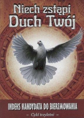 Okładka książki Niech zstąpi Duch Twój cykl trzyletni