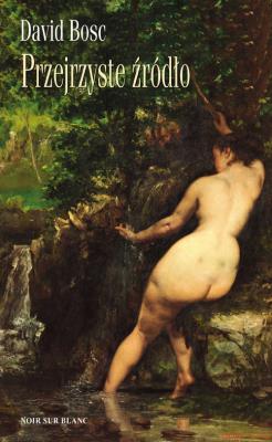 Przejrzyste źródło. Autor: Bosch David J.. SmakLiter.pl Okładka książki Przejrzyste źródło