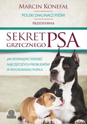 Sekret grzecznego psa. Autor: Marcin Konefał. SmakLiter.pl Okładka książki Sekret grzecznego psa