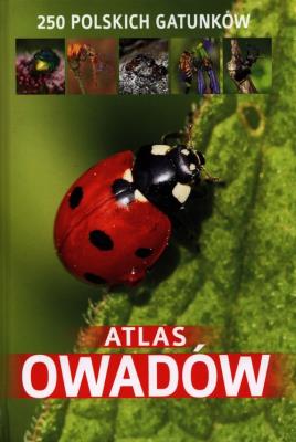 Atlas owadów. 250 polskich gatunków. Autor: Twardowski Jacek, Twardowska Kamila. SmakLiter.pl Okładka książki Atlas owadów. 250 polskich gatunków