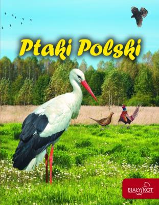Ptaki Polski w.2015. Autor: Elżbieta Zarych. SmakLiter.pl Okładka książki Ptaki Polski w.2015