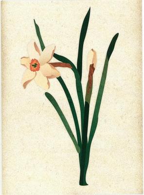 Opakowanie Karnet okolicznościowy. Kwiaty MIX