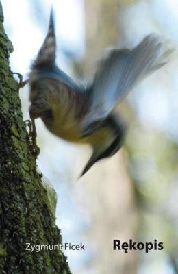 Okładka książki Rękopis