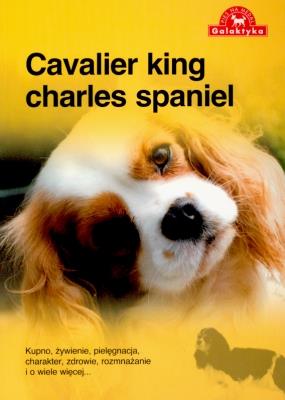 Cavalier king charles spaniel. Autor: Opracowanie zbiorowe. SmakLiter.pl Okładka książki Cavalier king charles spaniel