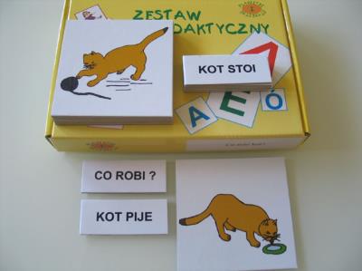 Okładka książki Co robi kot?