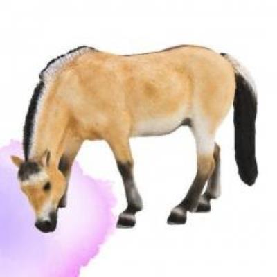 Opakowanie Klacz fiordzka ANIMAL PLANET